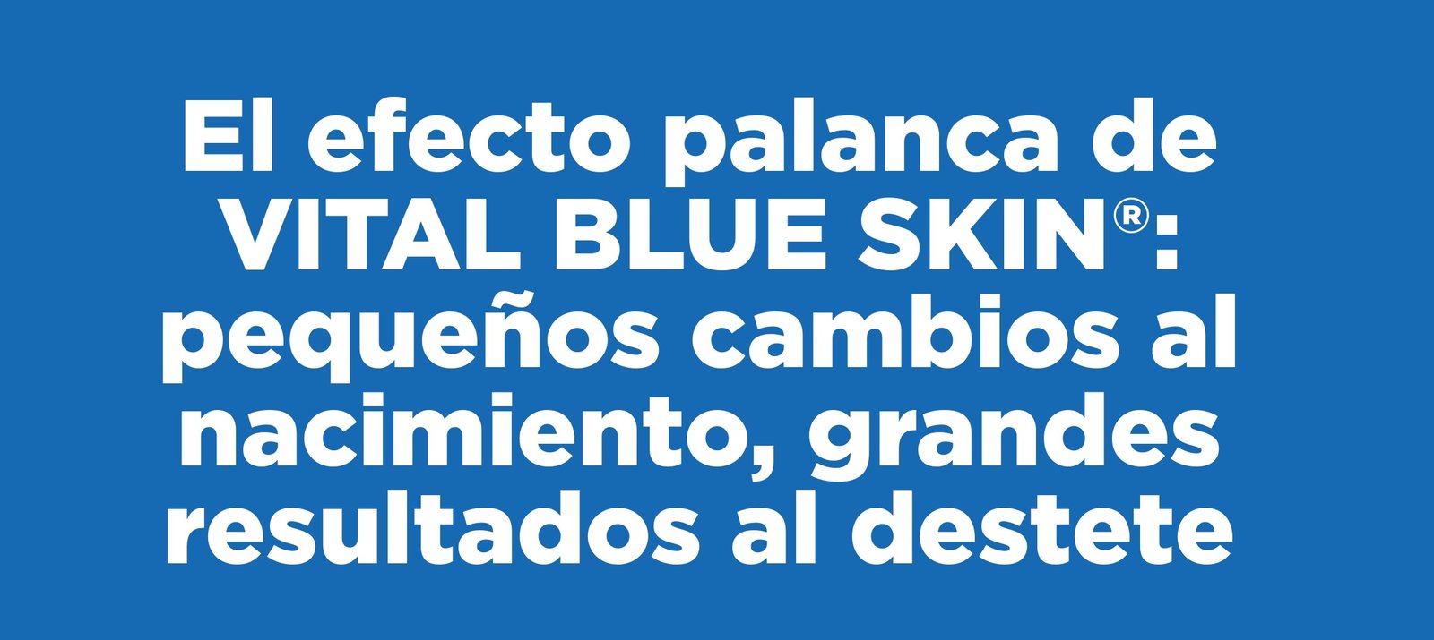 El efecto palanca de VITAL BLUE SKIN®: pequeños cambios al nacimiento, grandes resultados al destete